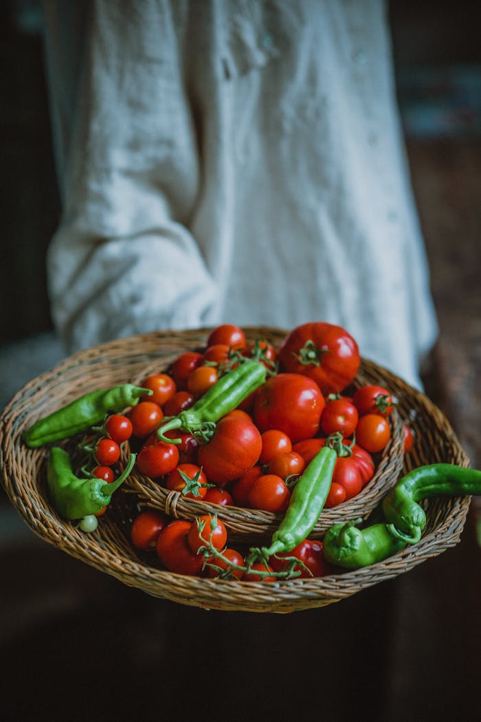 close-up-of-fresh-harvested-tomatoes-and-peppers-33816607